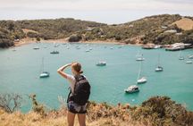 Private Freedom Best of Waiheke Island