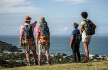 Private Guided Best of Waiheke Island