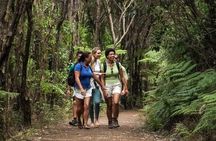 Private Guided Best of Waiheke Island