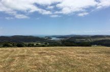 Waiheke Island Private Freedom Te Ara Hura Walk