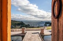 Waiheke Island Private Art Tour