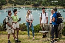 Waiheke Island Private Personalised Walk