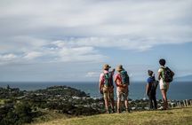 Waiheke Island Private Personalised Walk