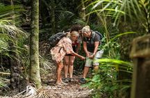 Waiheke Island Private Personalised Walk