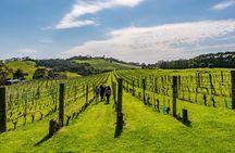 Private Waiheke Food & Wine Tour