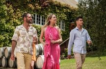 Private Waiheke Food & Wine Tour