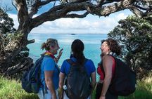 Waiheke Island Double Headland Coastal Walk