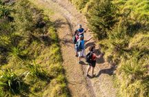 Waiheke Island Double Headland Coastal Walk
