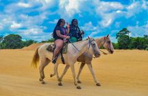 Punta Cana Horseback Riding & Macau Beach Experience