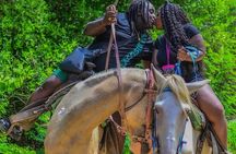 Punta Cana Horseback Riding & Macau Beach Experience