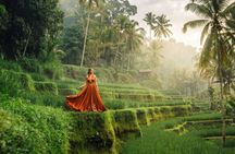 Benoa Port to Ubud: Private Bali Shore Excursion with 3–4 Stops