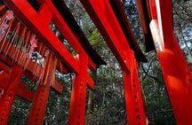 Fushimi Inari Private Tour: Hidden Trails, Torii & Sacred History