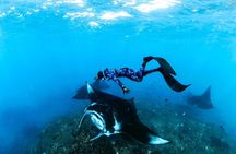Snorkel, Swim with Mantas and Explore West Nusa Penida