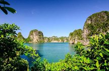 Best Day Cruise to Discover Bai Tu Long Bay From Cruise Port