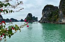 Best Day Cruise to Discover Bai Tu Long Bay From Cruise Port