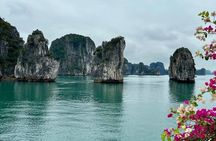 Best Day Cruise to Discover Bai Tu Long Bay From Cruise Port