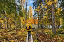 Santa Claus Village & Rovaniemi Nature, City Tour with Local BBQ