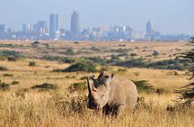 Full Day Lake Nakuru National Park Tour