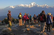 Majestic Views & Mountain Trails: Pokhara 5-Day Poon Hill Treks