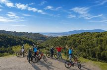 Montes de Malaga Natural Park E-Mountain Bike Tour