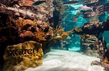 Xcaret Plus and Xel-Há: 2-Day Package with Transportation