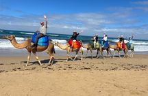 Tangier Private 4-Hour Tour with Camel Ride Experience