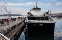 Robben Island Museum Ticket Ferry Half Day Tour