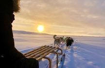 Dogsledding Husky Ride in Iceland, nearby Reykjavik