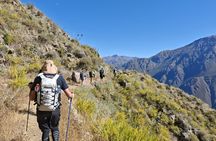 Colca Canyon One Day Tour Hike Condor Viewpoint Inca Trail