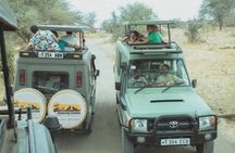 4days Ndutu Big Cats & Calving Season Safari