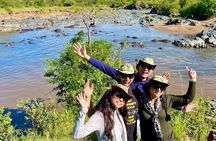 4days Ndutu Big Cats & Calving Season Safari