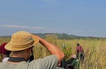 2 Day Lake Mburo National Park Safari and Shoebill Tracking