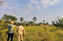 2 Day Lake Mburo National Park Safari and Shoebill Tracking