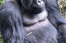 5 Days Uganda Primates Safari