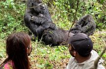 5 Days Uganda Primates Safari