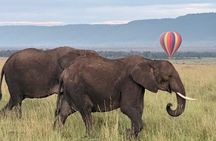 3-Day Masai Mara Air Safari.
