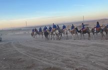 Marrakech: Half-day in Agafay & Quad & camel & dinner