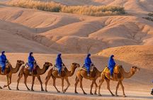 Marrakech: Half-day in Agafay & Quad & camel & dinner