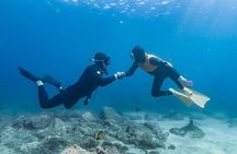 Jeju WestSouth UNESCO Highlight Tour with Mt Halla
