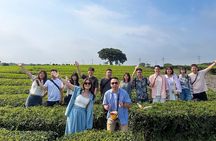 Jeju WestSouth UNESCO Highlight Tour with Mt Halla
