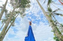 Bali Swing Tour with Koi Fish Boat Monkey Forest and Falls