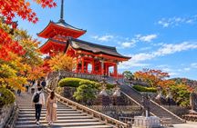 Kyoto tour: 3 Photogenic Sites from Nagoya with Lunch