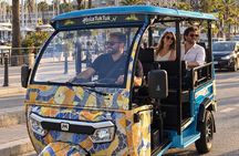 Barcelona Electric Tuk Tuk Private Tour with View