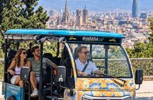 Barcelona Electric Tuk Tuk Private Tour with View