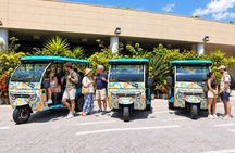 Barcelona Electric Tuk Tuk Private Tour with View