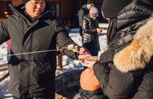 30 Minute Shared Winter Sleigh Ride Experience in Kananaskis