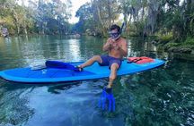 Paddleboard Snorkel Tour in Crystal River Springs with Manatees