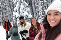 Glacier National Park–Scenic Drive + Snowshoe Trek (5-6 hours)