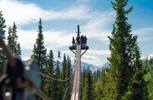 Denali Park Zipline Adventure: Denali's Highest Rated Zip Tour!