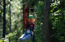 Denali Park Zipline Adventure: Denali's Highest Rated Zip Tour!